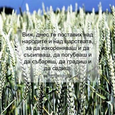 Picture 07 - Еремия 1:10 BULG - Виж, днес те поставих над - Bible Verse Picture