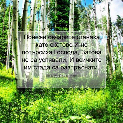 Picture 07 - Еремия 10:21 BULG - Понеже овчарите станаха - Bible Verse Picture