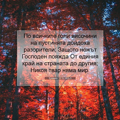 Picture 07 - Еремия 12:12 BULG - По всичките голи височини - Bible Verse Picture