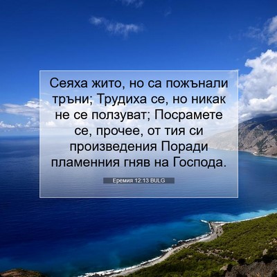 Picture 07 - Еремия 12:13 BULG - Сеяха жито, но са пожънали - Bible Verse Picture