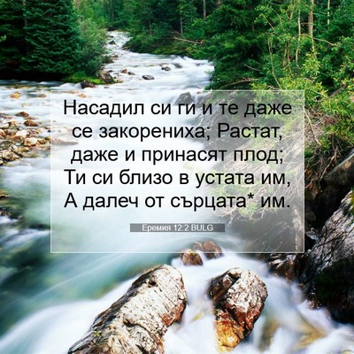 Picture 07 - Еремия 12:2 BULG - Насадил си ги и те даже се - Bible Verse Picture