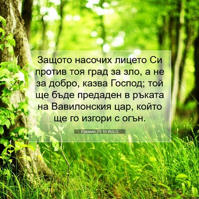 Picture 07 - Еремия 21:10 BULG - Защото насочих лицето Си - Bible Verse Picture