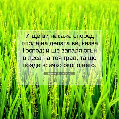 Picture 07 - Еремия 21:14 BULG - И ще ви накажа според плода - Bible Verse Picture