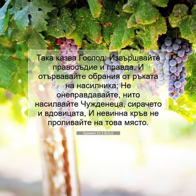 Picture 07 - Еремия 22:3 BULG - Така казва Господ: - Bible Verse Picture