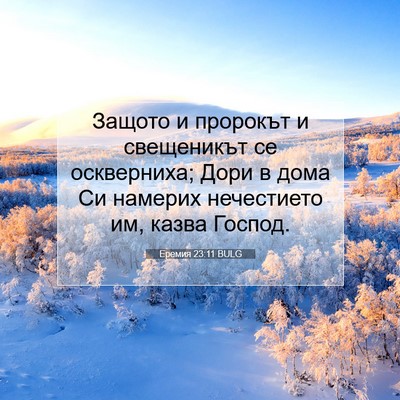 Picture 07 - Еремия 23:11 BULG - Защото и пророкът и - Bible Verse Picture