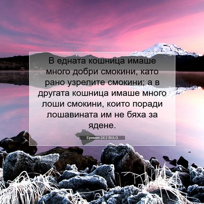 Picture 07 - Еремия 24:2 BULG - В едната кошница имаше - Bible Verse Picture