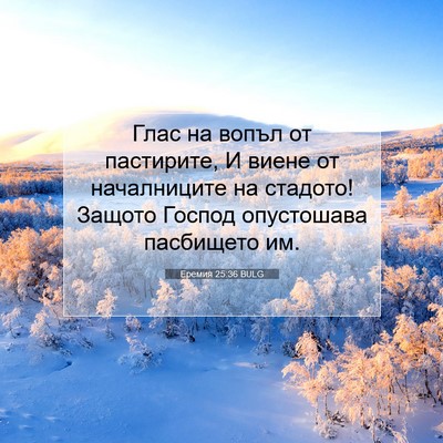 Picture 07 - Еремия 25:36 BULG - Глас на вопъл от пастирите, - Bible Verse Picture