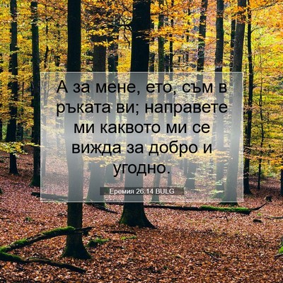 Picture 07 - Еремия 26:14 BULG - А за мене, ето, съм в ръката - Bible Verse Picture