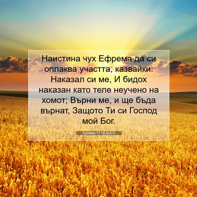 Picture 07 - Еремия 31:18 BULG - Наистина чух Ефрема да си - Bible Verse Picture