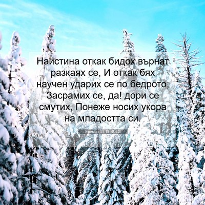 Picture 07 - Еремия 31:19 BULG - Наистина откак бидох - Bible Verse Picture