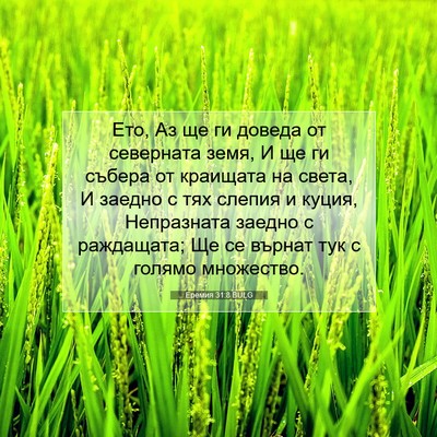Picture 07 - Еремия 31:8 BULG - Ето, Аз ще ги доведа от - Bible Verse Picture
