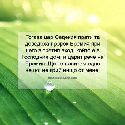 Picture 07 - Еремия 38:14 BULG - Тогава цар Седекия прати - Bible Verse Picture