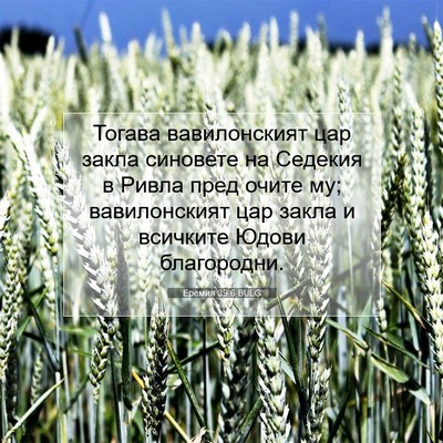 Picture 07 - Еремия 39:6 BULG - Тогава вавилонският цар - Bible Verse Picture