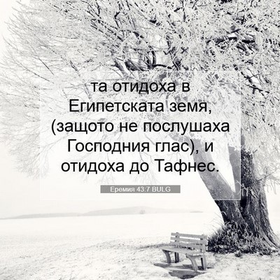 Picture 07 - Еремия 43:7 BULG - та отидоха в Египетската - Bible Verse Picture
