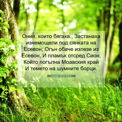 Picture 07 - Еремия 48:45 BULG - Ония, които бягаха., - Bible Verse Picture