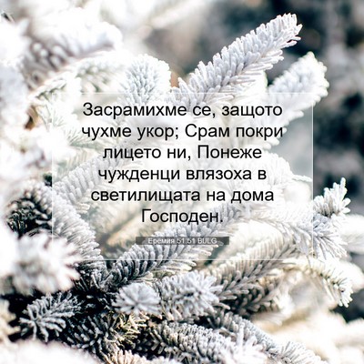 Picture 07 - Еремия 51:51 BULG - Засрамихме се, защото - Bible Verse Picture