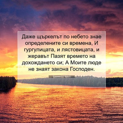 Picture 07 - Еремия 8:7 BULG - Даже щъркелът по небето - Bible Verse Picture