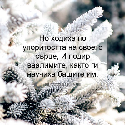 Picture 07 - Еремия 9:14 BULG - Но ходиха по упоритостта - Bible Verse Picture