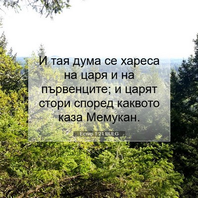 Picture 07 - Естир 1:21 BULG - И тая дума се хареса на - Bible Verse Picture
