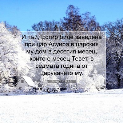 Picture 07 - Естир 2:16 BULG - И тъй, Естир биде заведена - Bible Verse Picture