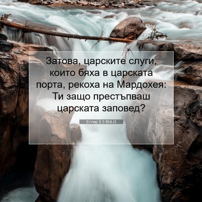 Picture 07 - Естир 3:3 BULG - Затова, царските слуги, - Bible Verse Picture