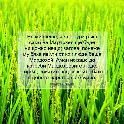 Picture 07 - Естир 3:6 BULG - Но мислеше, че да тури ръка - Bible Verse Picture