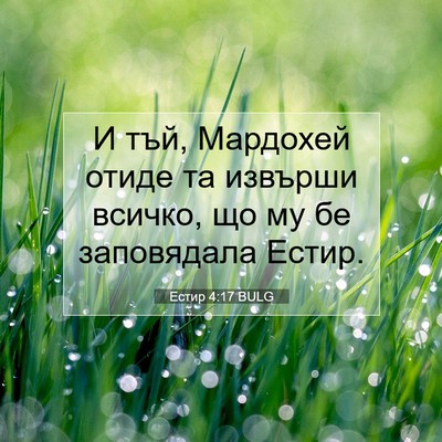 Picture 07 - Естир 4:17 BULG - И тъй, Мардохей отиде та - Bible Verse Picture
