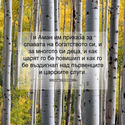 Picture 07 - Естир 5:11 BULG - и Аман им приказа за - Bible Verse Picture