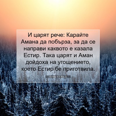 Picture 07 - Естир 5:5 BULG - И царят рече: Карайте Амана - Bible Verse Picture