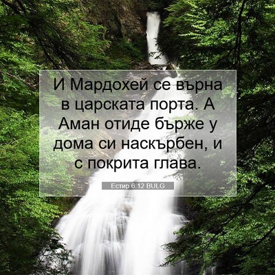 Picture 07 - Естир 6:12 BULG - И Мардохей се върна в - Bible Verse Picture