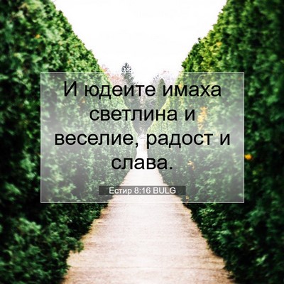 Picture 07 - Естир 8:16 BULG - И юдеите имаха светлина и - Bible Verse Picture