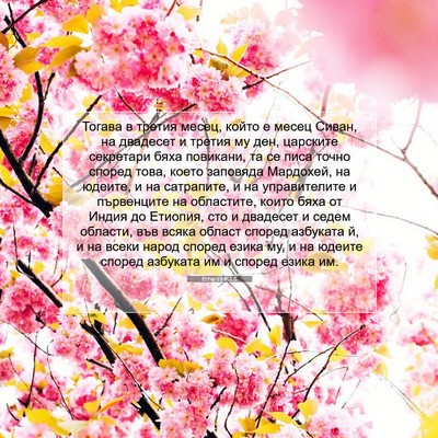 Picture 07 - Естир 8:9 BULG - Тогава в третия месец, - Bible Verse Picture