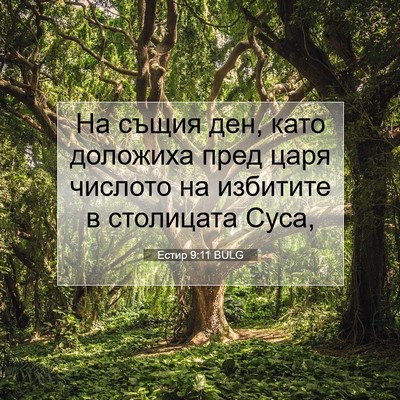 Picture 07 - Естир 9:11 BULG - На същия ден, като доложиха - Bible Verse Picture