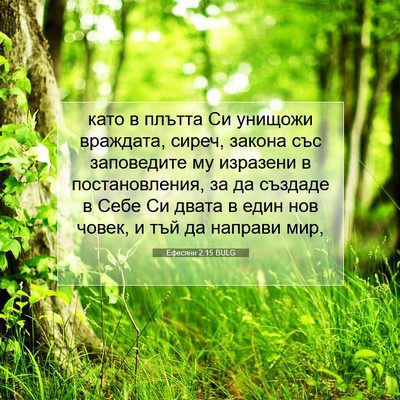 Picture 07 - Ефесяни 2:15 BULG - като в плътта Си унищожи - Bible Verse Picture