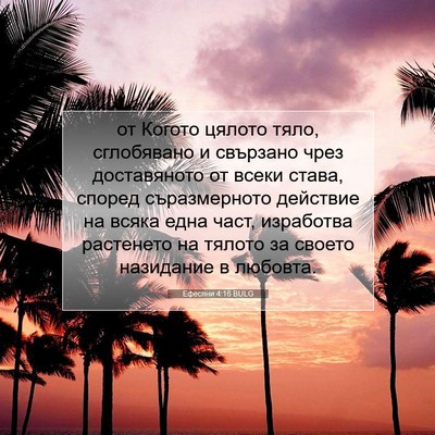 Picture 07 - Ефесяни 4:16 BULG - от Когото цялото тяло, - Bible Verse Picture