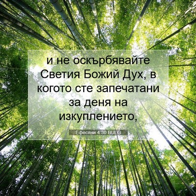 Picture 07 - Ефесяни 4:30 BULG - и не оскърбявайте Светия - Bible Verse Picture