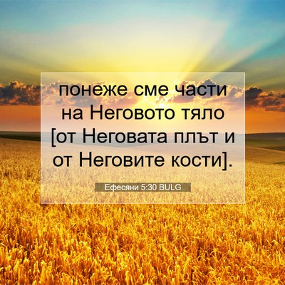 Picture 07 - Ефесяни 5:30 BULG - понеже сме части на - Bible Verse Picture