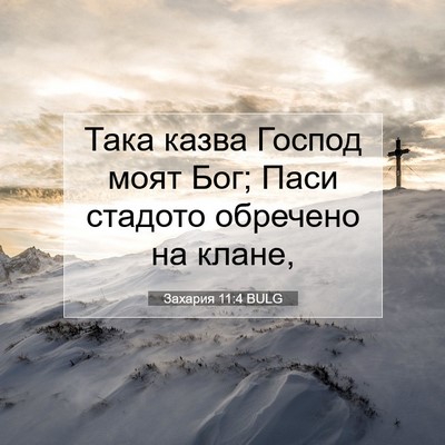 Picture 07 - Захария 11:4 BULG - Така казва Господ моят Бог; - Bible Verse Picture