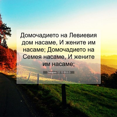 Picture 07 - Захария 12:13 BULG - Домочадието на Левиевия - Bible Verse Picture