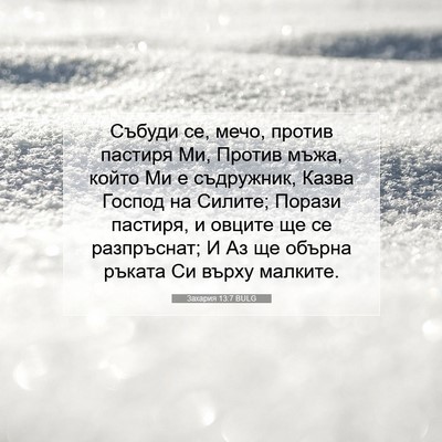 Picture 07 - Захария 13:7 BULG - Събуди се, мечо, против - Bible Verse Picture
