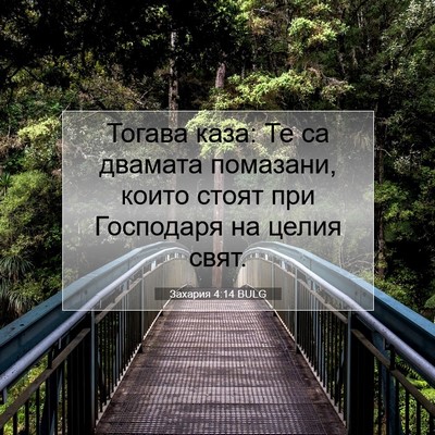 Picture 07 - Захария 4:14 BULG - Тогава каза: Те са двамата - Bible Verse Picture