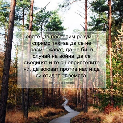 Picture 07 - Изход 1:10 BULG - елате, да постъпим разумно - Bible Verse Picture