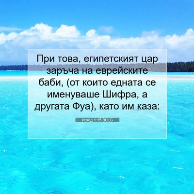 Picture 07 - Изход 1:15 BULG - При това, египетският цар - Bible Verse Picture