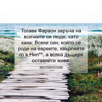 Picture 07 - Изход 1:22 BULG - Тогава Фараон заръча на - Bible Verse Picture