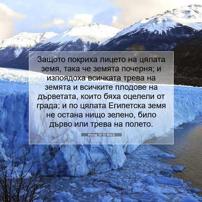 Picture 07 - Изход 10:15 BULG - Защото покриха лицето на - Bible Verse Picture