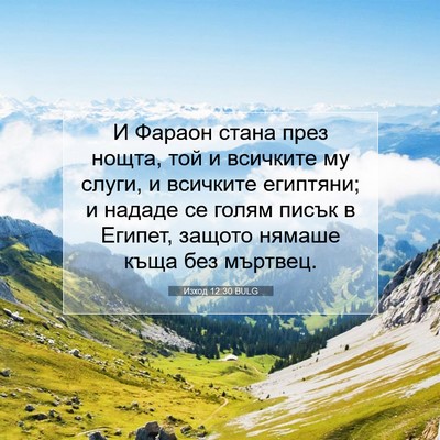 Picture 07 - Изход 12:30 BULG - И Фараон стана през нощта, - Bible Verse Picture