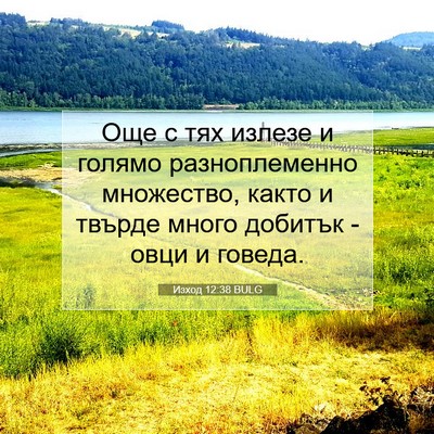 Picture 07 - Изход 12:38 BULG - Още с тях излезе и голямо - Bible Verse Picture
