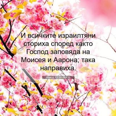 Picture 07 - Изход 12:50 BULG - И всичките израилтяни - Bible Verse Picture