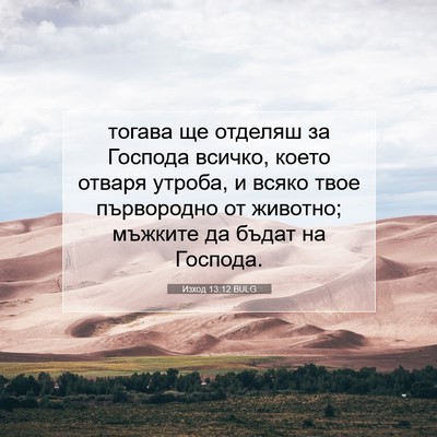 Picture 07 - Изход 13:12 BULG - тогава ще отделяш за - Bible Verse Picture