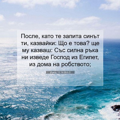 Picture 07 - Изход 13:14 BULG - После, като те запита синът - Bible Verse Picture